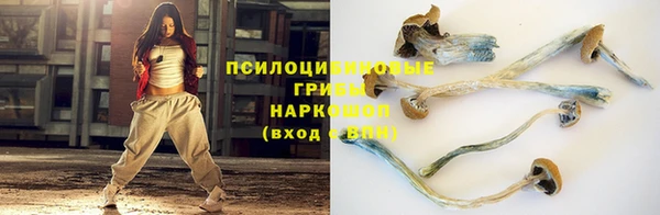 мет Алексин