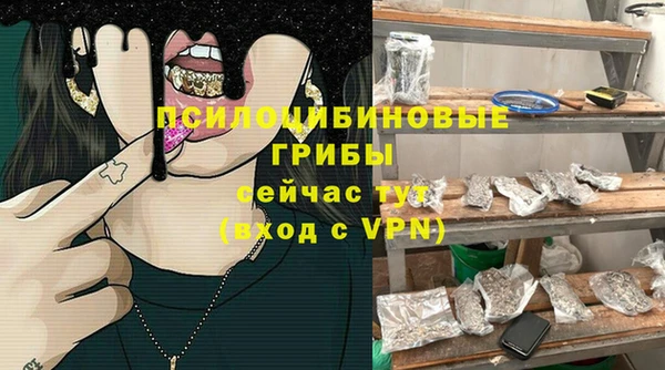 PSILOCYBIN Алзамай