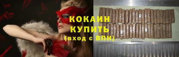 мет Алексин