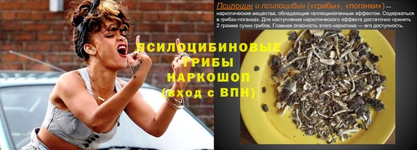 PSILOCYBIN Алзамай