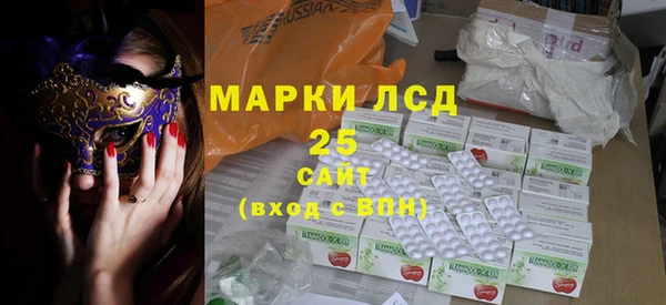 PSILOCYBIN Алзамай