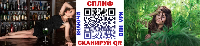 Шишки марихуана OG Kush  как найти закладки  Талица 